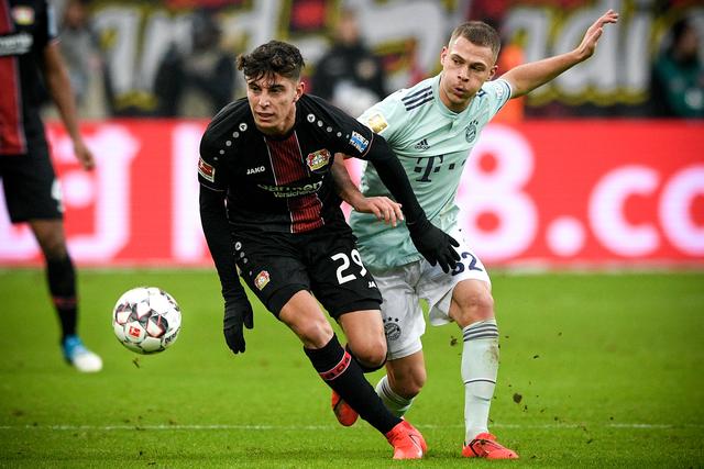 公开组有个, 由一位家长