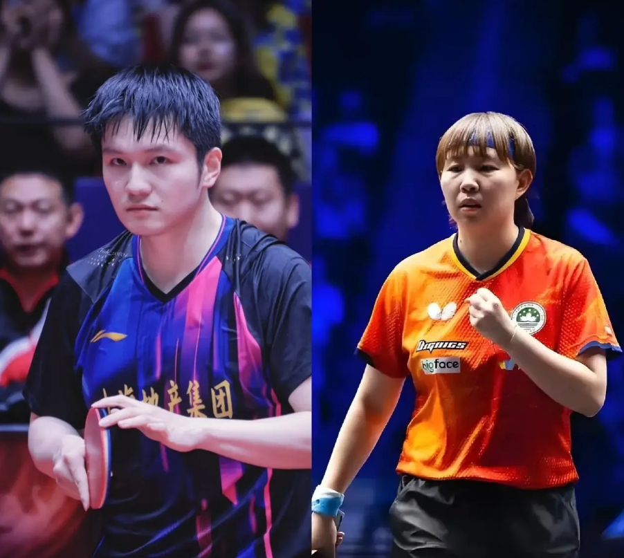 做乒乓球赛, 种创新, 乒乓球运动 做乒乓球赛, 种创新, 乒乓球运动