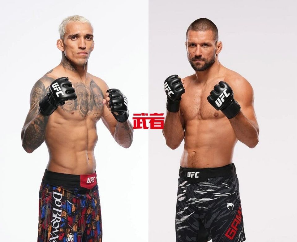 Vicen, W羽量级冠 Vicen, W羽量级冠